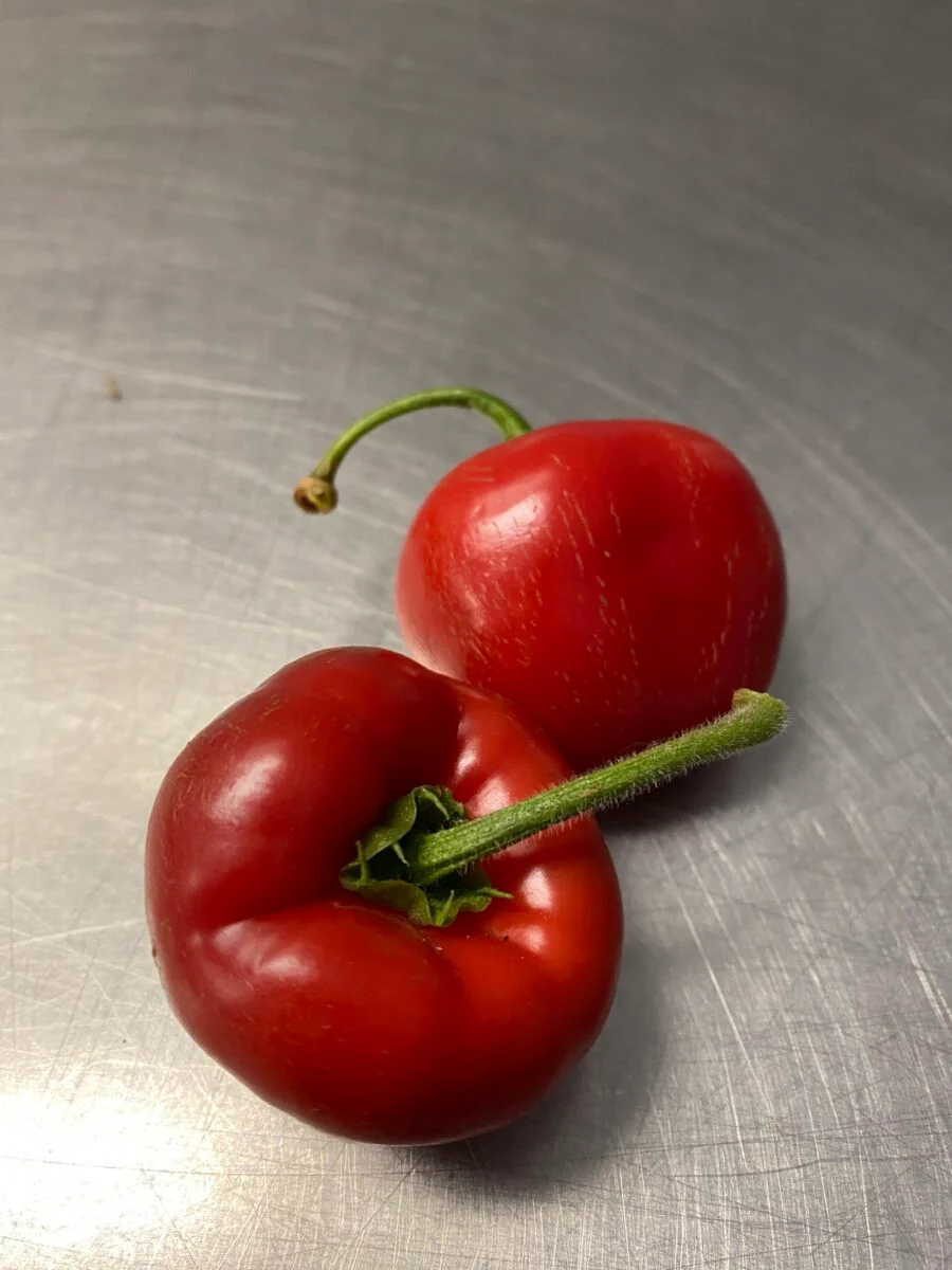 Rocoto mix - Friske chili - Image 2