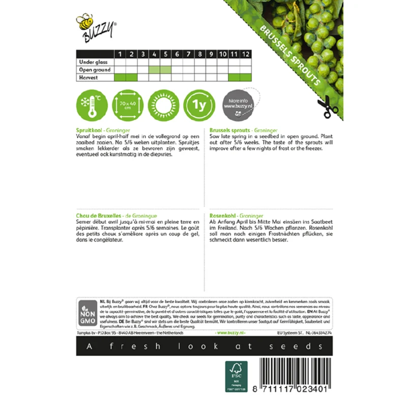 Rosenkål - Groninger - Brassica oleracea - Image 2