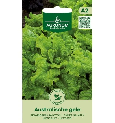 Salat - Australische gele