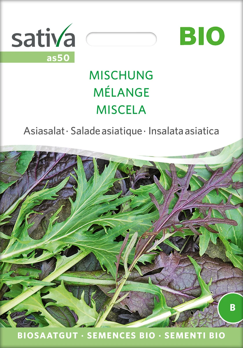 Salat MIX Asiatisk - ØKO