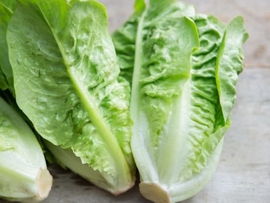 Salat, Romaine - Little Gem