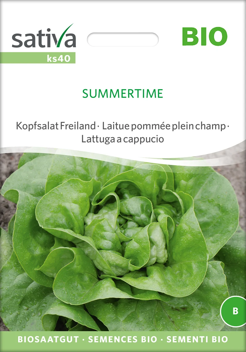 Salat - Summertime - ØKO