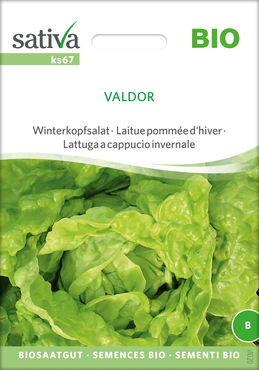 Salat - Valdor - ØKO