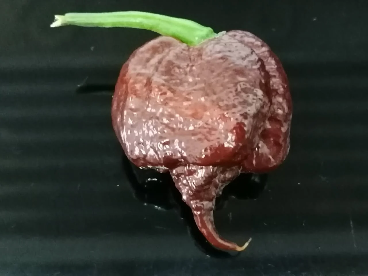 Miniaturebillede 1