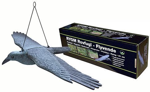 Skræmmer Flyvende rovfugl - Image 2
