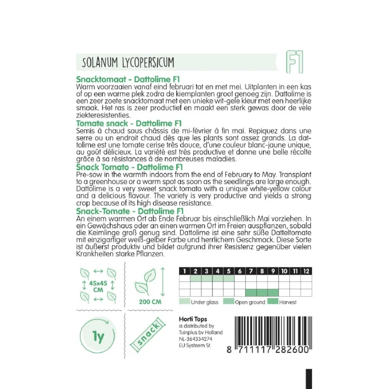 Tomat - Dattolime F1 - Image 2