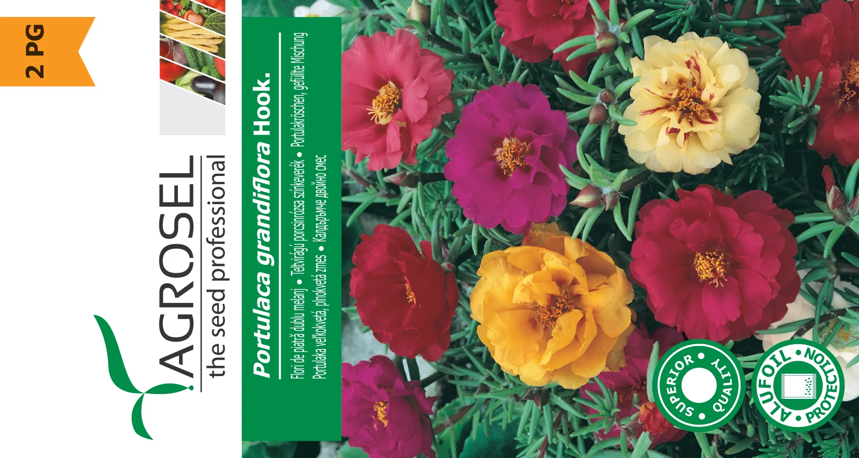 Solportulac - Portulaca grandiflora
