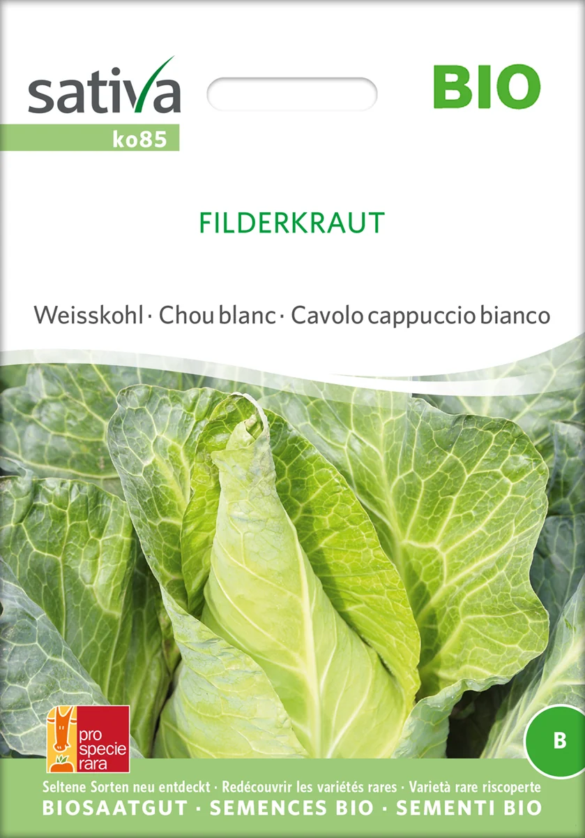 Spidskål - Filderkraut- ØKO