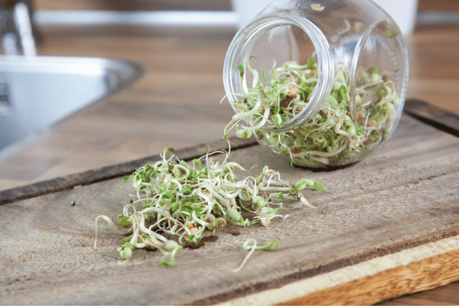 Spirekrukke med salatmix - Image 2