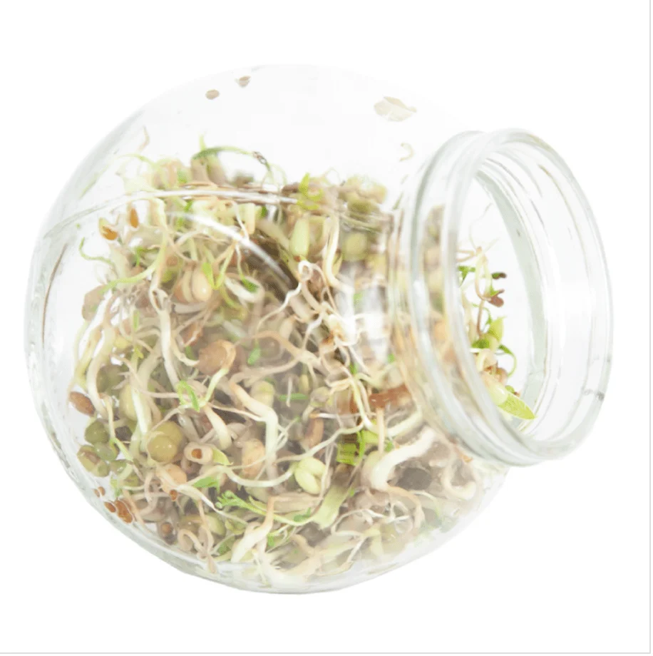 Spirekrukke med salatmix - Image 3