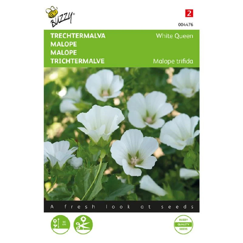 Tragtmalva - White Queen - Malope Trifida